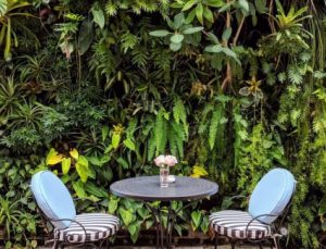 design-and-construction-of-green-wall