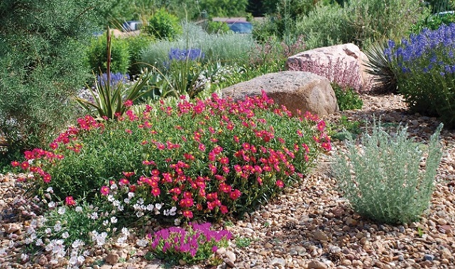 Drought-resistant-green-space-design