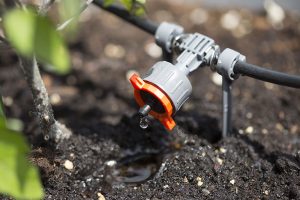 Installing-a-smart-villa-drip-irrigation-system