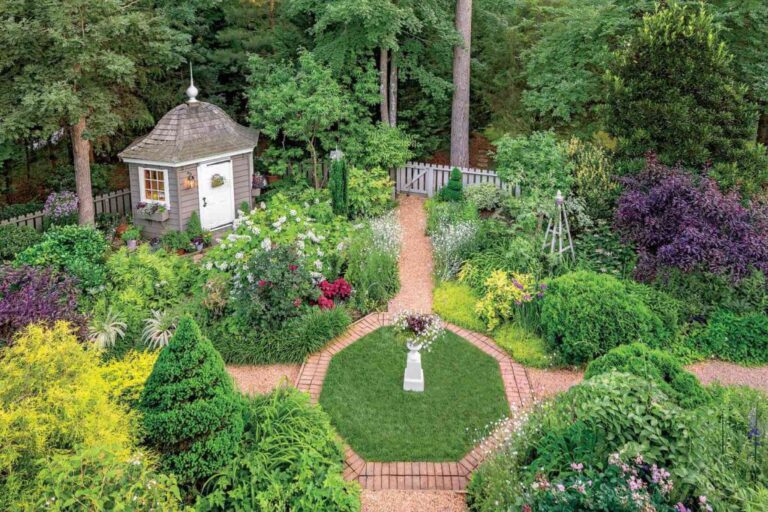 landscaping-of-a-villa-in-sari