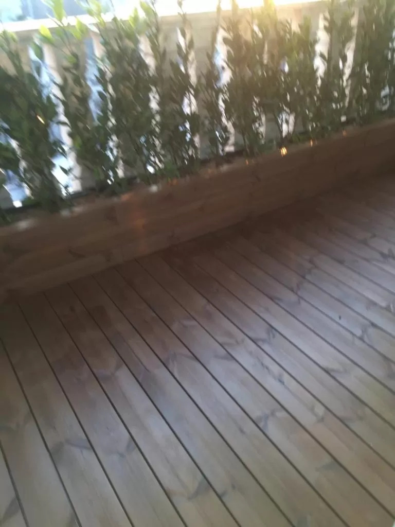 thermowood-wood-in-amol